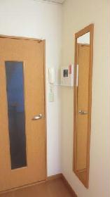 Other. With systemic mirror