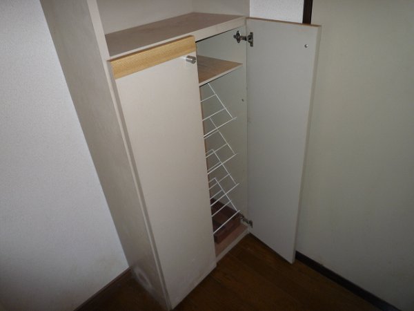 Entrance. Shoes with Box