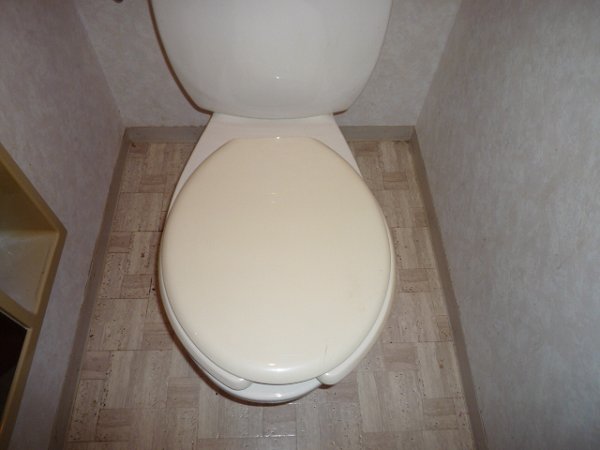 Toilet. Toilet