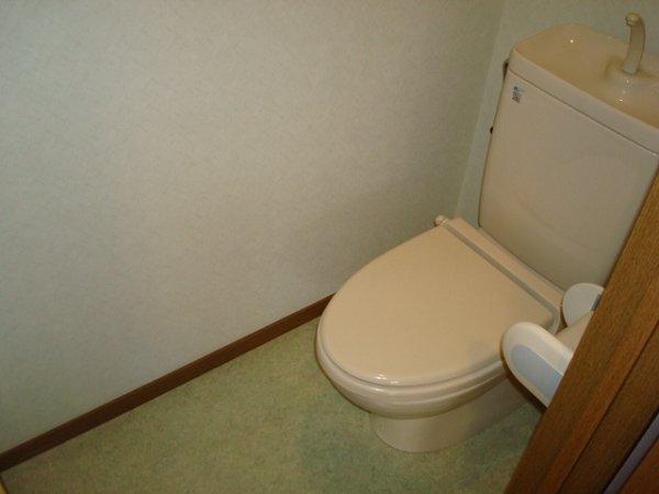 Other. Toilet