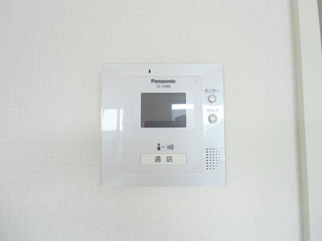 Security. Monitor with intercom