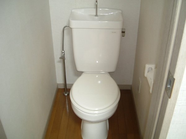 Toilet. Toilet