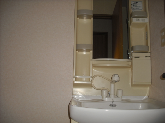 Washroom. Pat grooming shampoo dresser