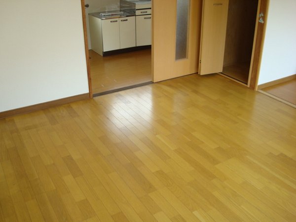 Other room space. Western style room