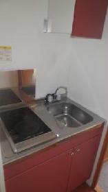 Kitchen. Electric stove