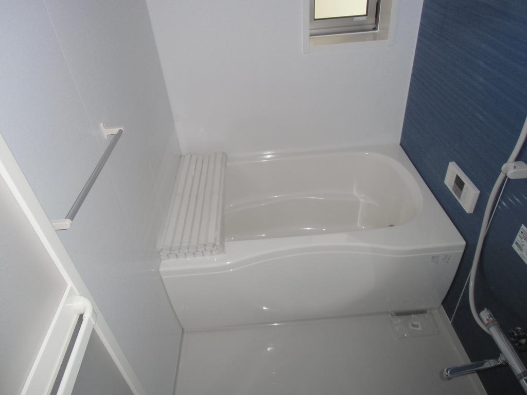 Bath. Bathing accent color is nice is you can also send-off of laundry!