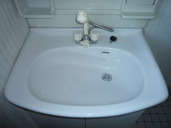 Washroom. Wash basin