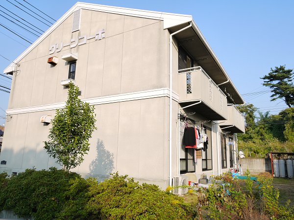 Building appearance. Living environment favorable properties