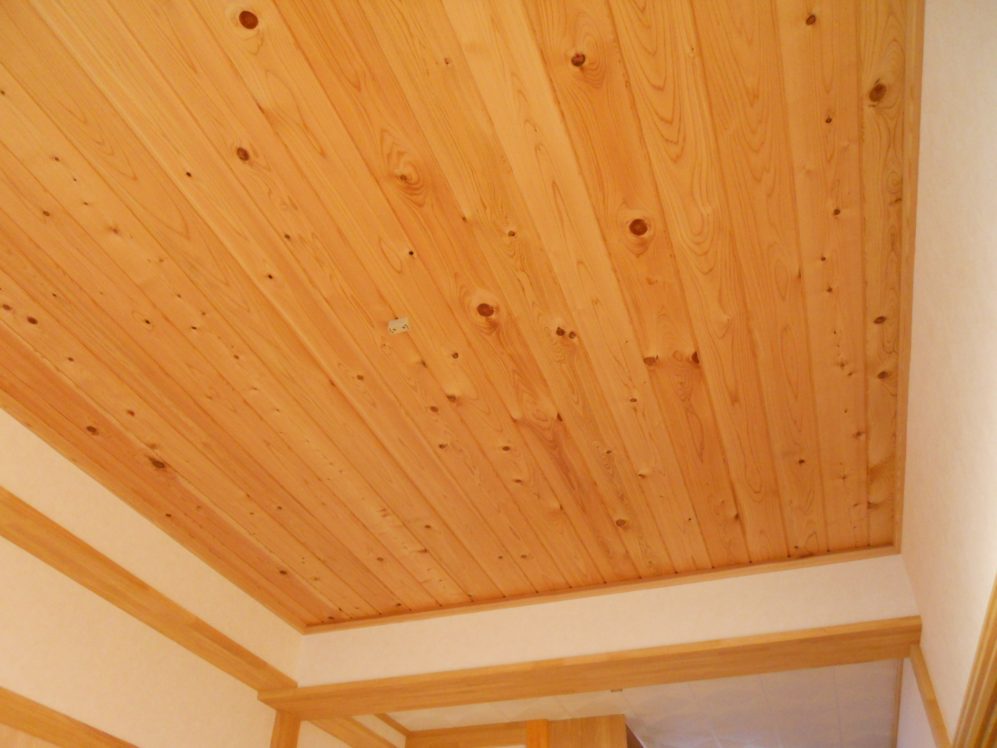 Living and room. It stuck to the tree, This space is calm.