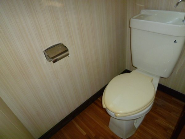 Toilet. Toilet