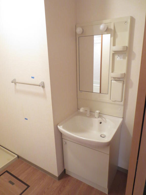 Washroom. Shampoo dresser