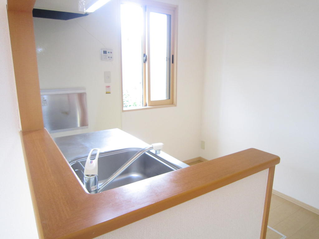 Kitchen. Face-to-face kitchen