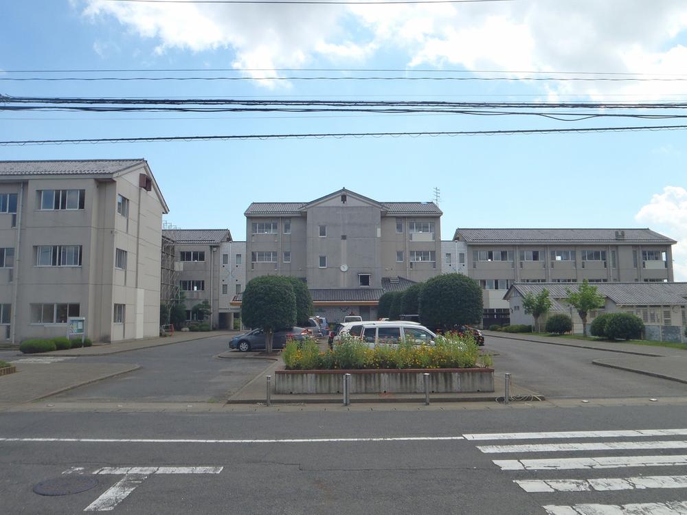 Primary school. 1600m to the outfield elementary school