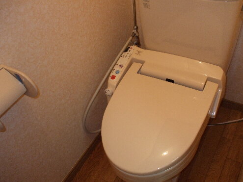 Toilet. Warm water washing toilet seat