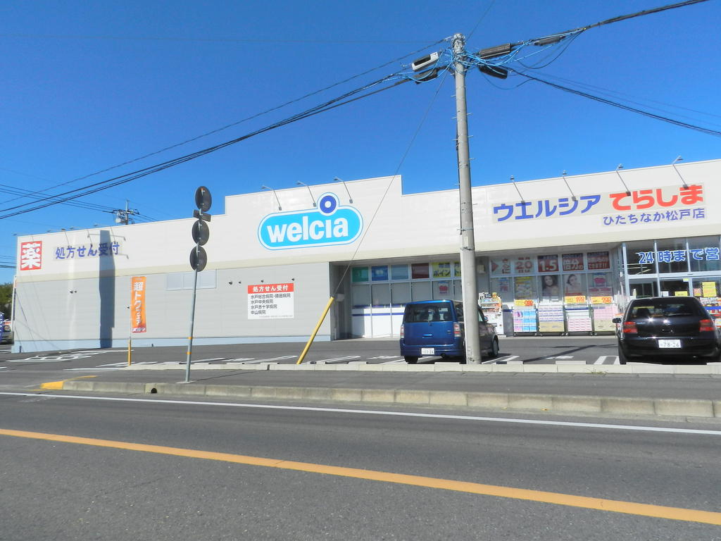 Dorakkusutoa. Drag Terashima Matsudo Machiten 850m to (drugstore)