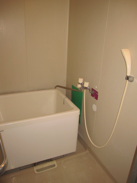 Bath. Bathtub