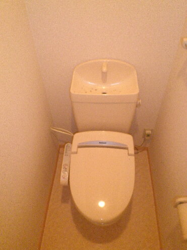 Toilet. Cleaning toilet seat