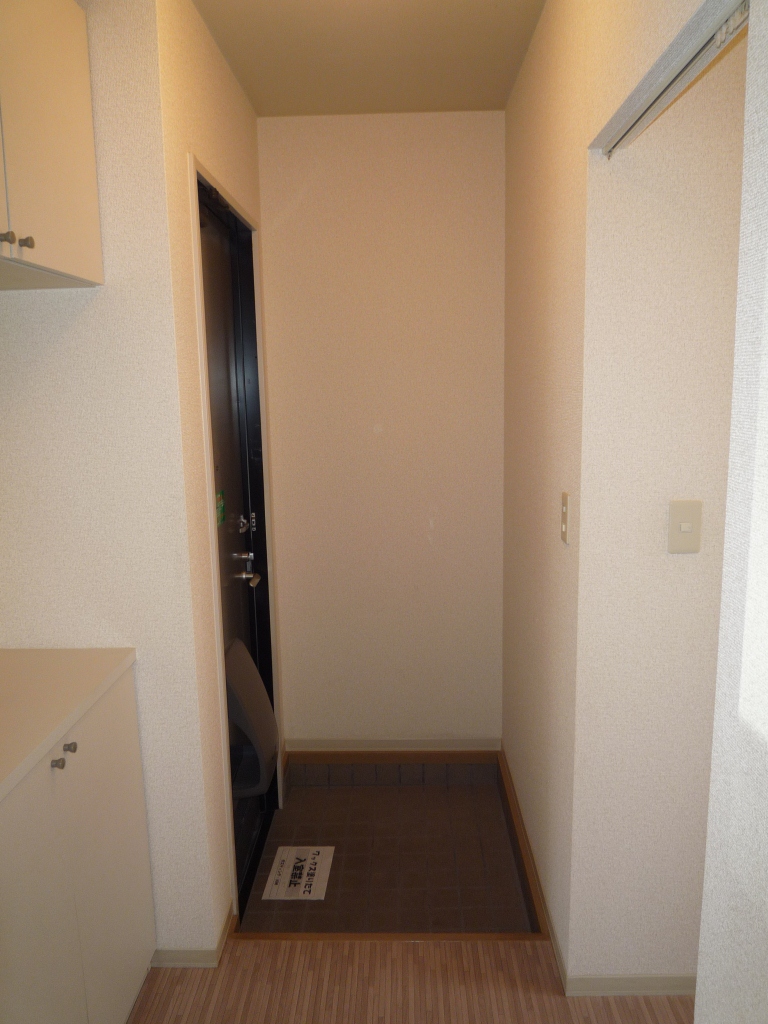 Entrance. Shoes BOX
