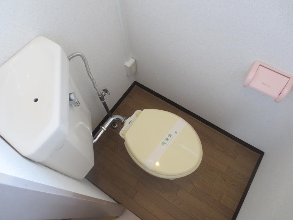 Toilet. Toilet