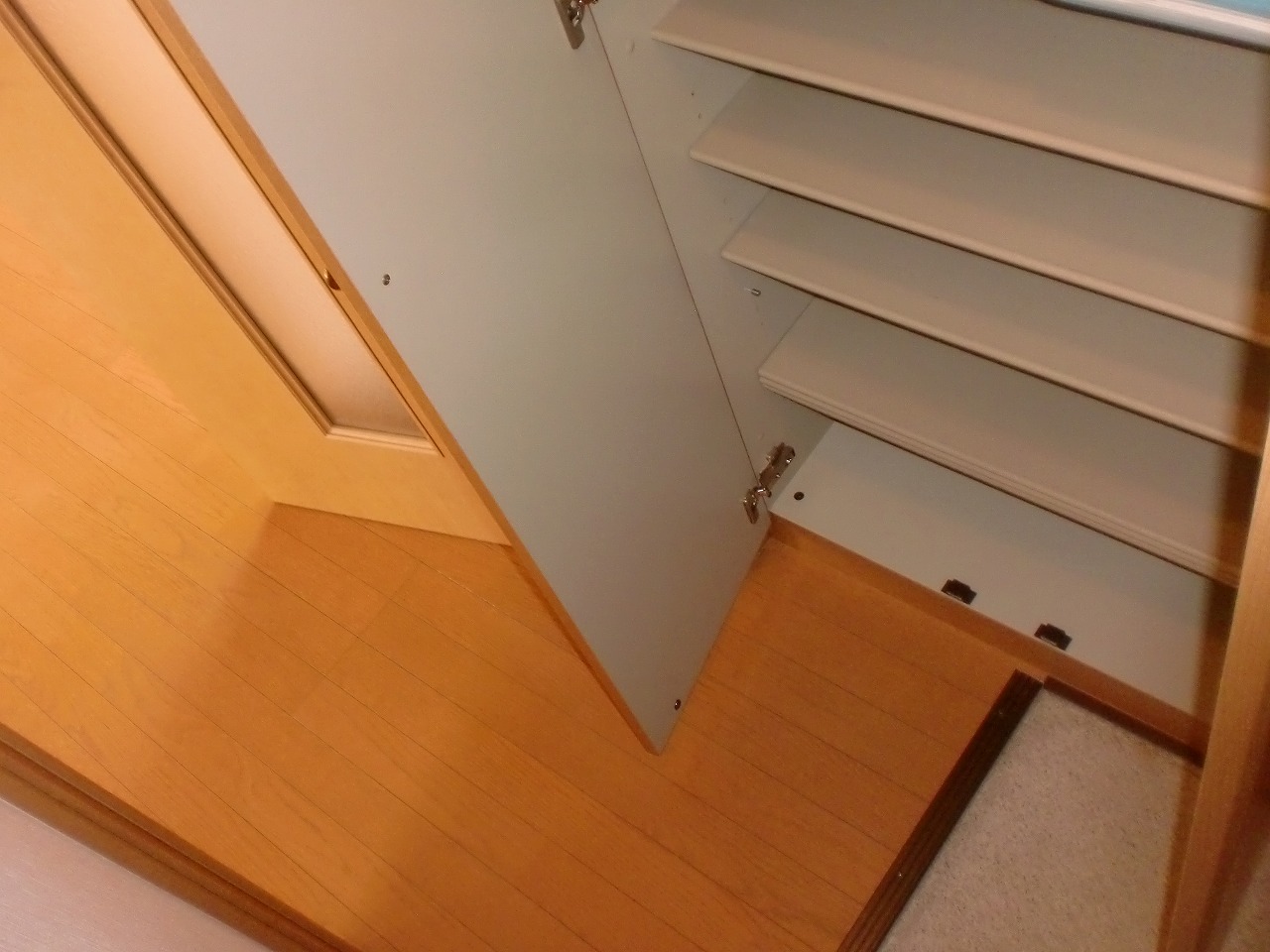 Entrance. It comes with a large shoes BOX. 
