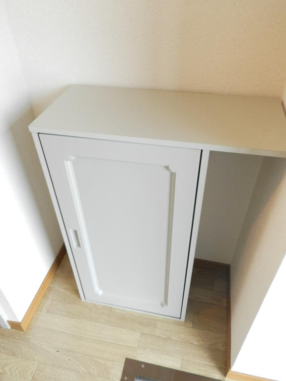 Entrance. Cupboard