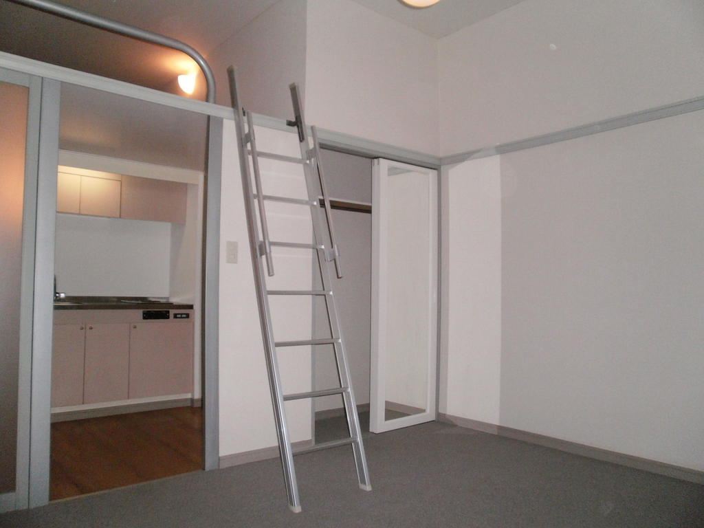 Living and room. Also high open space ceiling in the Western-style with a loft