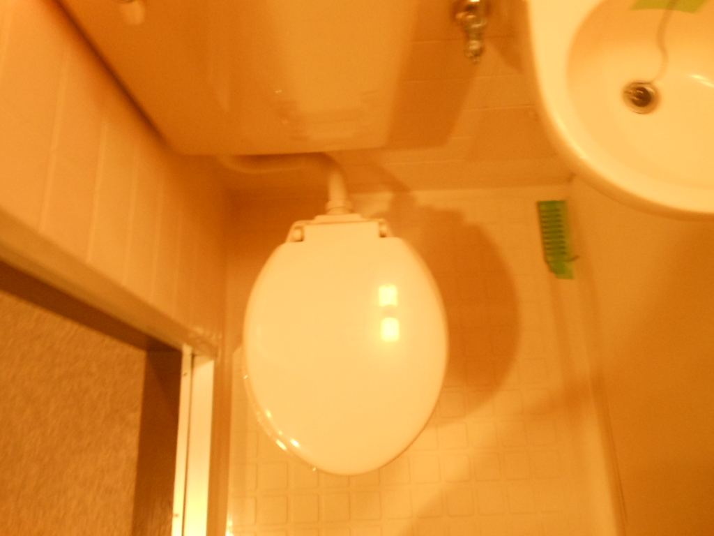 Toilet