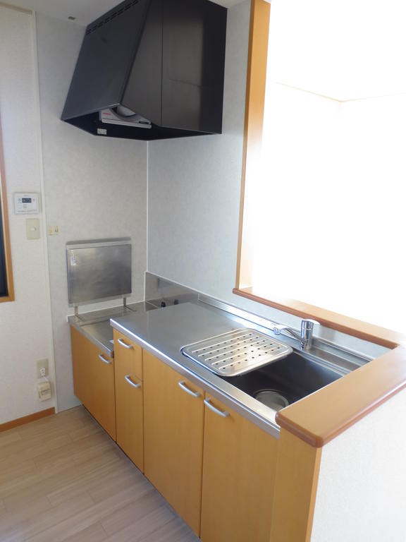 Kitchen. Face-to-face kitchen