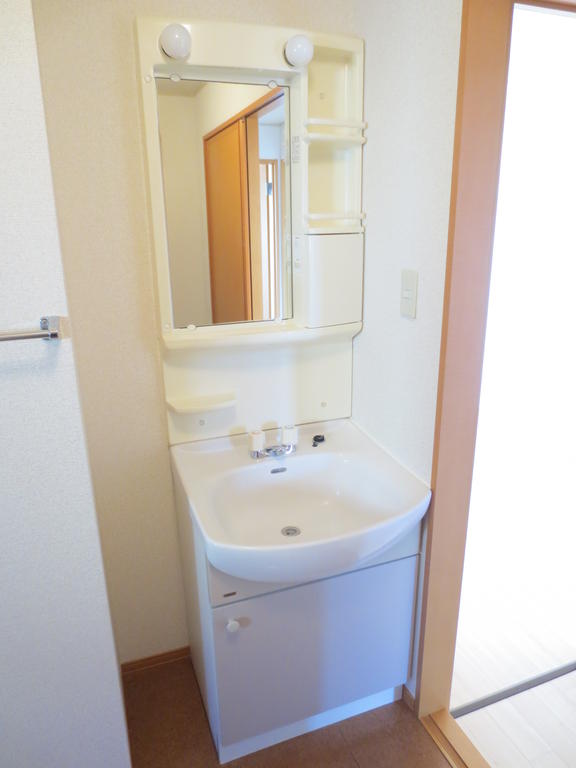 Washroom. Bathroom vanity