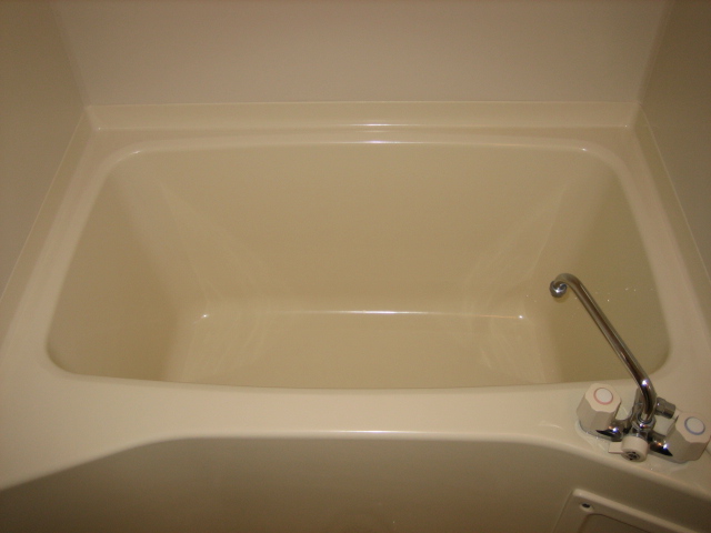 Bath. Bathtub