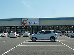 Dorakkusutoa. Kawachii chemicals Sawa store 1482m until (drugstore)