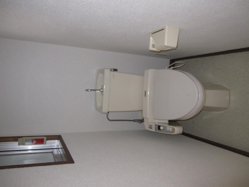 Toilet. Bidet