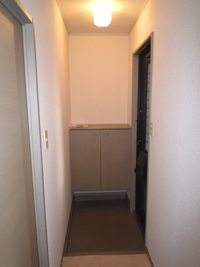 Entrance. Shoes with BOX