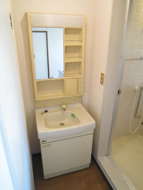Washroom. Bathroom vanity