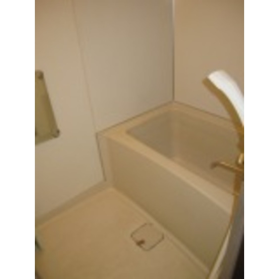 Bath. Bathtub