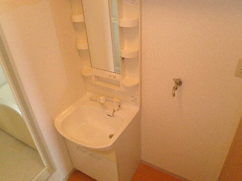 Washroom. With shampoo dresser