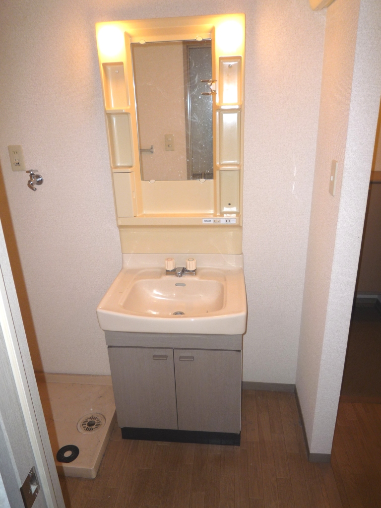 Washroom. Indoor Laundry Storage
