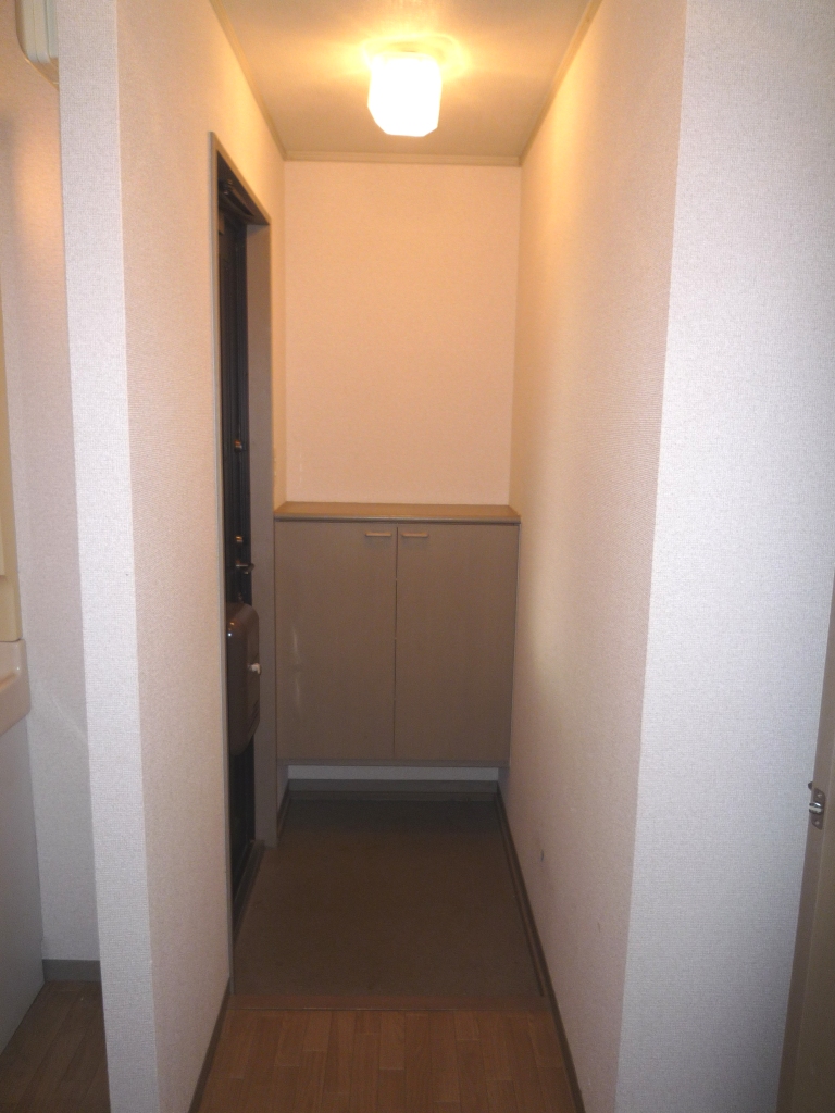 Entrance. Shoes with BOX