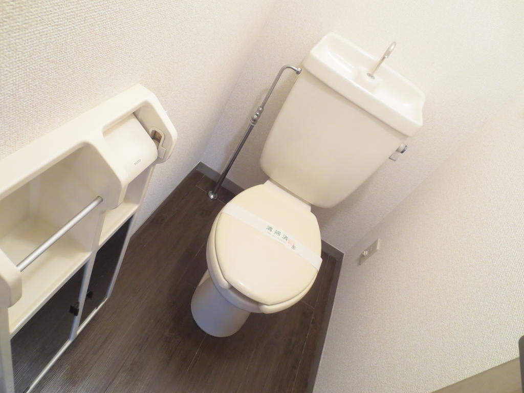 Toilet. Toilet