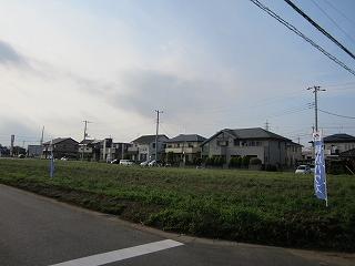 Local photos, including front road