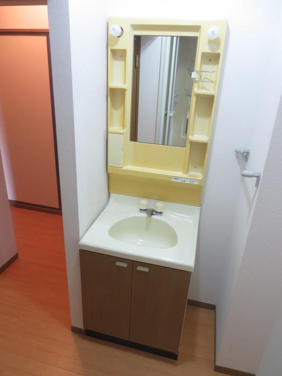 Washroom. Bathroom vanity