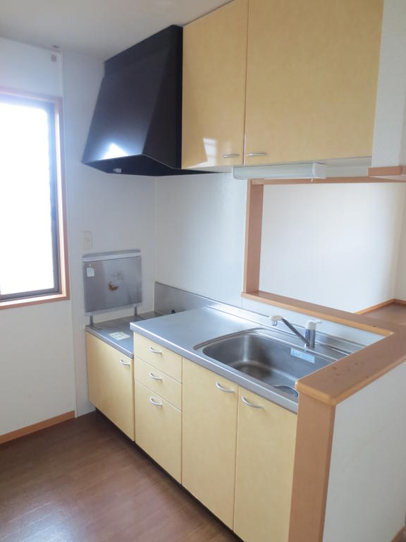Kitchen. Face-to-face kitchen