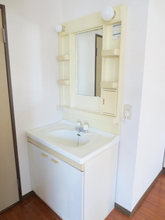Washroom. Bathroom vanity