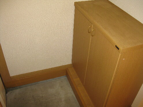 Entrance. Shoes BOX