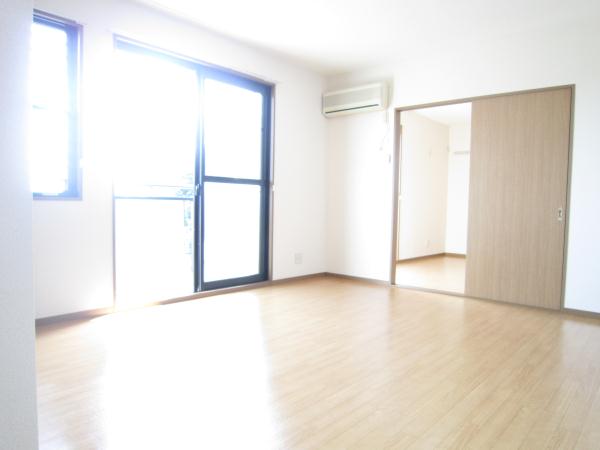 Living and room. Sunny