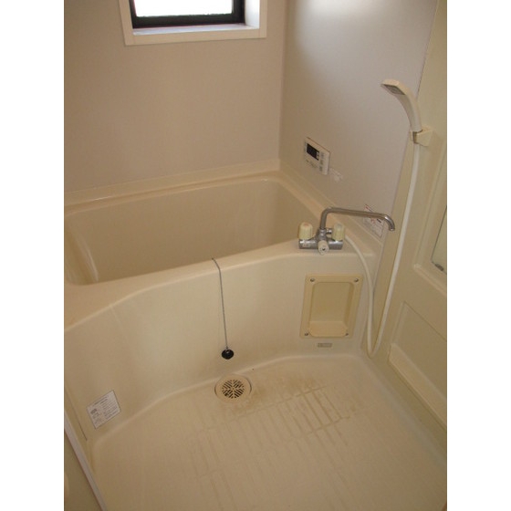 Bath. Bathtub