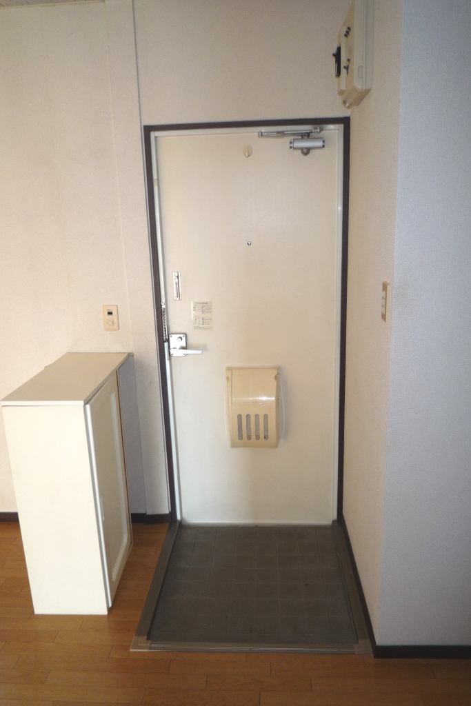 Entrance. Shoes with BOX