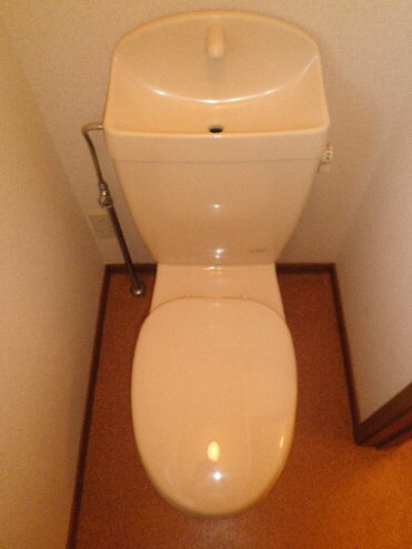 Toilet. Flush toilet