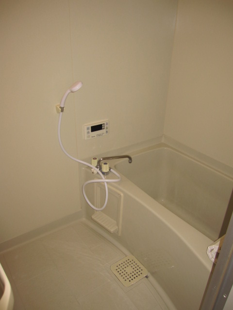Bath. Bathtub