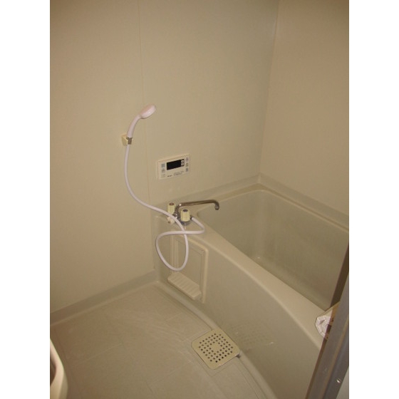 Bath. Bathtub
